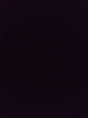 Ясмина Кружащая Голову фото 2